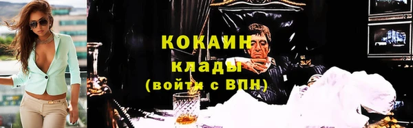 твердый Алексин