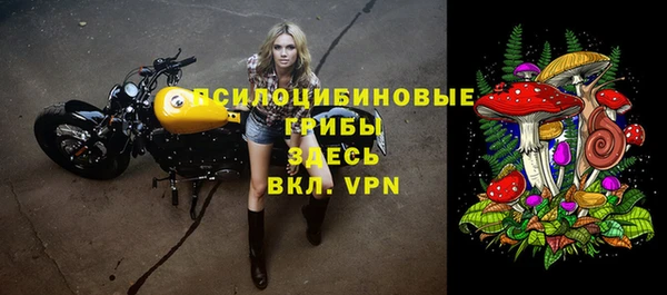 твердый Алексин