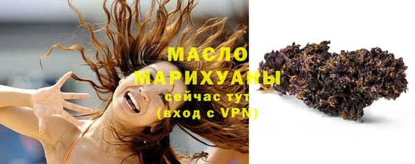 индика Елизово