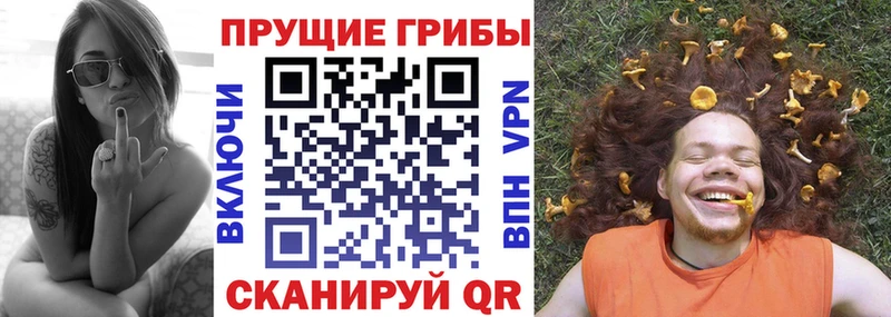 МЕГА маркетплейс дарнет шоп Новоуральск Псилоцибиновые грибы Psilocybine cubensis