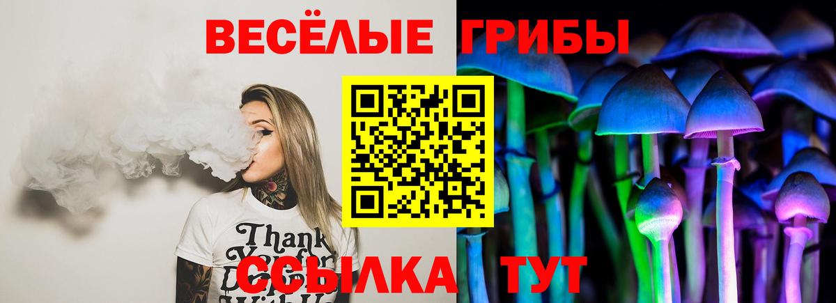 Псилоцибиновые грибы GOLDEN TEACHER Новоуральск